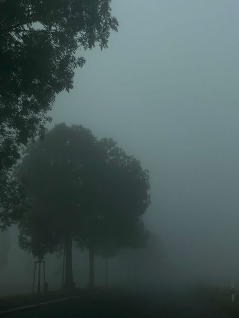 Grey Hour, Diff Aesthetics, Dark Forests, Twilight Core, Dark Naturalism, Pretty Scenery, Dark Forest Aesthetic, Foggy Weather, Emo Clothes