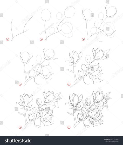 How to draw beautiful branch with magnolia flowers. Creation step by step pencil drawing. Educational page for artists. School textbook for developing artistic skills. Hand-drawn vector image. #Ad , #affiliate, #step#Creation#pencil#Educational Magnolia Flower Drawing, Flowers To Draw, Magnolia Branch, Magnolia Flowers, Hand Drawn Vector, Magnolia Flower, Step By Step Drawing, Pencil Drawing, Flower Drawing