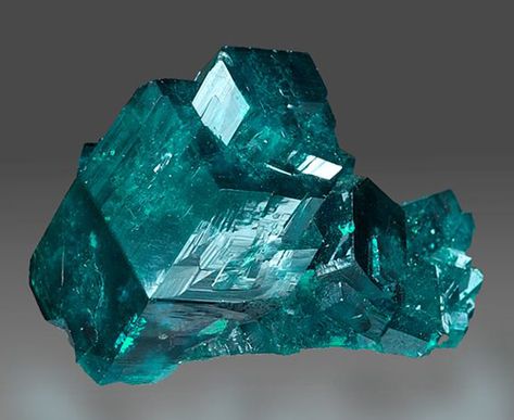 Large Dioptase Compound Crystal - The Mineral and Gemstone Kingdom Gemstone List, Silicate Minerals, Crystal Structure, Fine Minerals, Pretty Rocks, Natural Art, Beautiful Rocks, Mineral Stone, Minerals And Gemstones