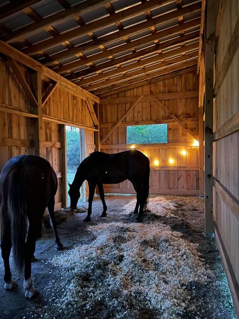 Backyard With Horses, Horses In Stables, Rustic Horse Stable, Horses In Backyard, Horse Stables Aesthetic, Cheap Horse Shelter, Horse Barn Aesthetic, Small Stable Ideas, Diy Stables For Horses