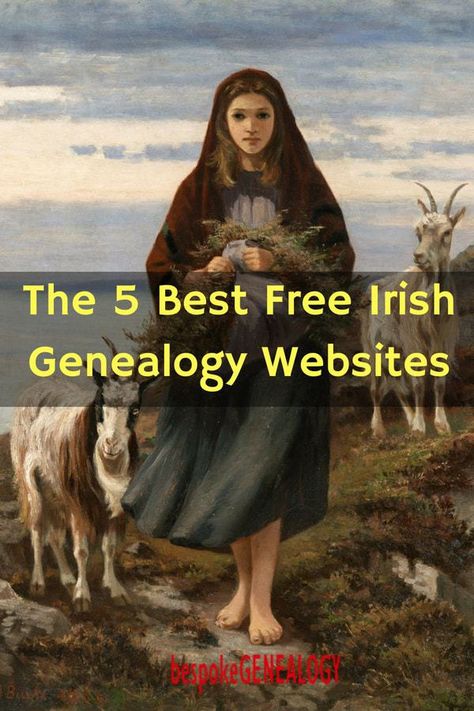 Genealogy Ireland, Free Genealogy Sites, Family History Projects, Irish Genealogy, Genealogy Organization, Genealogy Search, Genealogy Help, Irish Ancestry, Genealogy Websites