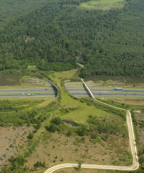 the borkeld netherlands animal bridge wildlife crossing overpass Green Bridge, Green Roofs, World Geography, Pedestrian Bridge, Bridge Design, Green Roof, Urban Planning, Public Space, Aerial View