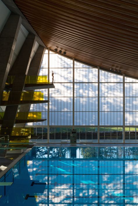 Surrey Canada, Window Image, Sports Architecture, Vancouver House, Aquatic Center, Swimming Pool Architecture, Sports Centre, Sport Center, Sports Center