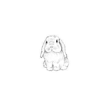 Jumping Bunnies Tattoo, Soft Bunny Tattoo, Floppy Bunny Tattoo, Single Line Bunny Tattoo, Holland Lop Bunny Drawing, Floppy Eared Bunny Tattoo, 2 Bunny Tattoo, Holland Lop Bunny Tattoo, Lop Eared Bunny Tattoo