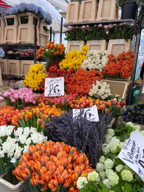 Columbia Flower Market London, Columbia Flower Market, Colombia Road Flower Market, London Moodboard, Living In London Aesthetic, Flower Market Aesthetic, London Flower Market, Flower Market London, London Flowers