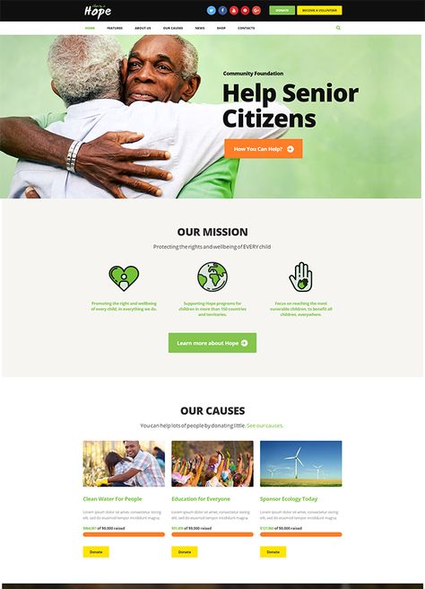 Non Profit Website, Nonprofit Website Design, Charity Websites, School Donations, Charity Work Ideas, Nonprofit Website, Charity Project, Wix Templates, Charity Organizations