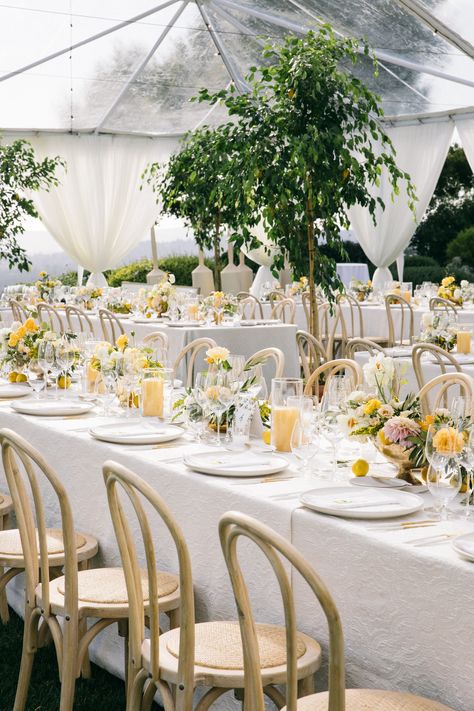 Yellow And White Wedding Decorations, Wedding With Yellow Accents, Lemon Tree Wedding, Pale Yellow Wedding Theme, Pale Yellow Wedding, Pale Yellow Weddings, Light Yellow Weddings, Wedding Tiktok, Yellow Wedding Colors