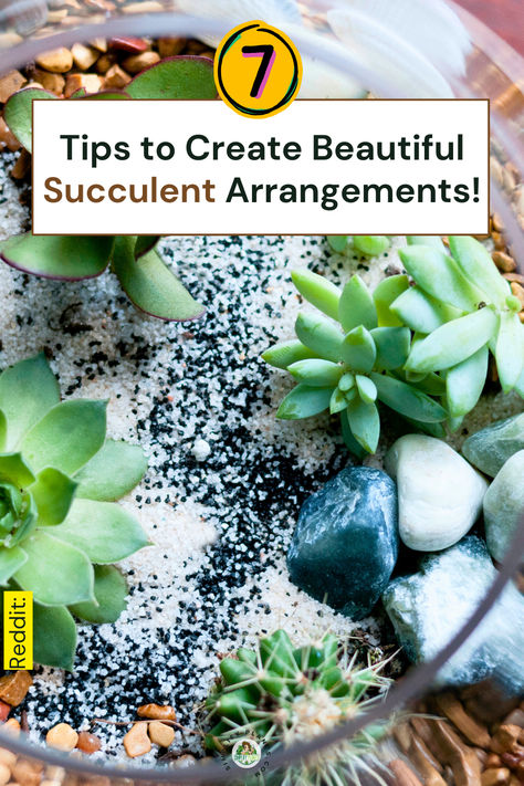 "Discover 7 essential tips to create stunning succulent arrangements that  elevate your DIY succulent decor! Learn indoor plant styling techniques,  succulent care tips, and explore creative planters to enhance your home  gardening ideas. Transform your space with beautiful, low-maintenance  plants that bring life and style to any room. Perfect for beginners and  seasoned gardeners alike!" Artificial Succulent Arrangements Diy, Ideas For Succulents, Succulent Care Indoor, Succulent Care Tips, Succulent Arrangements Diy, Succulents Care, Creative Planters, Mini Succulent Garden, Home Gardening Ideas