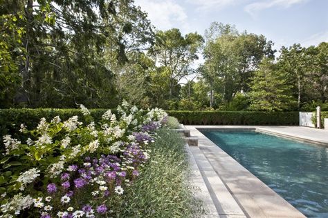 Oyster Harbors Stephen Stimson Landscape Architect ; Gardenista; R. P. Marzilli & Co., Landscape Contractor Pool With Landscaping, Hamptons Landscape Design, Tall Grass Around Pool, English Swimming Pool, English Garden With Pool, Pool Surrounded By Plants, Pool English Garden, Hamptons Landscaping, Cape Cod Landscaping