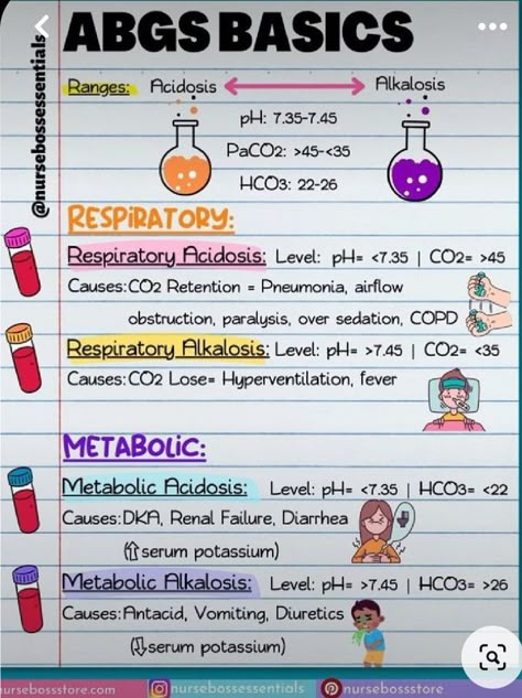 Respiratory Therapy Notes, Pathophysiology Nursing, Respiratory Therapy Student, Nursing School Prep, Nursing School Studying Cheat Sheets, Anatomy Notes, Nursing Cheat, Nursing School Essential, Basic Anatomy