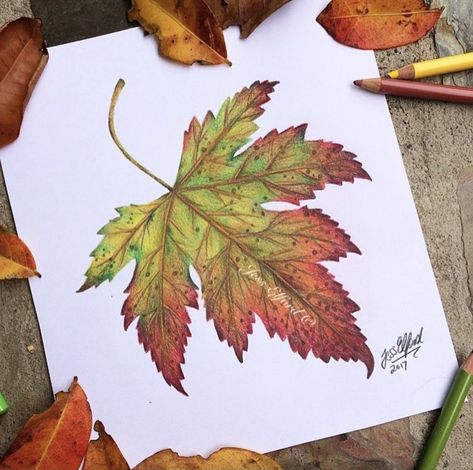 Watercolor Pumpkins Autumn, Maple Leaf Drawing, Fall Leaves Drawing, Landscape Drawing Tutorial, Drawing Autumn, List Of Drawing Ideas, Leaves Drawing, Fall Drawings, Autumn Leaf Color