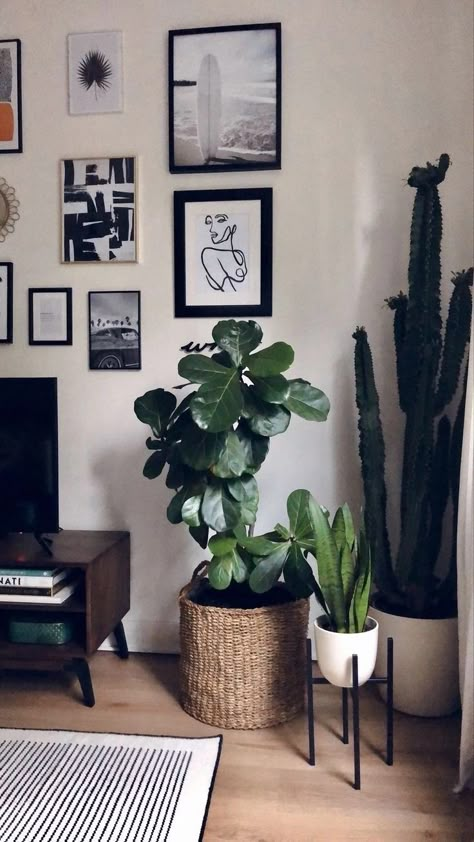 Living Room Plant Styling, Small Living Room Decor Plants, Modern Home Decor With Plants, Plants Next To Tv Living Rooms, Houseplant Living Room, Modern Plant Home Aesthetic, Cactus In Living Room, Living Room Decor Ideas With Plants, Plants In Small Apartment