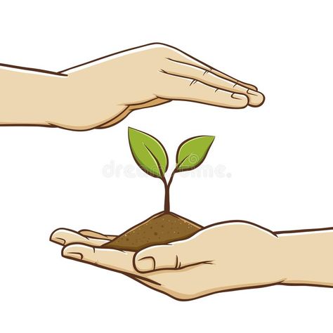 Pair of Hand Holding Soil And Plant. Vector illustration of pair of hand protect #Sponsored , #Ad, #ad, #Holding, #Pair, #Plant, #Soil Soil Conservation Drawings, Soil Illustration, Soil Drawing, Save Soil, Seed Illustration, Soil Conservation, Sequencing Pictures, Hand Lines, Tree Icon