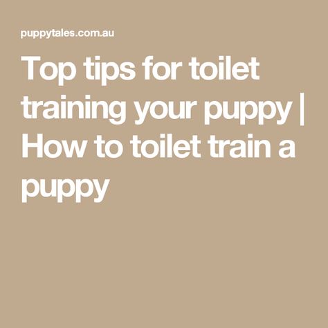 Top tips for toilet training your puppy | How to toilet train a puppy Puppy Potty Training Tips, Dog Commands Training, Starting Potty Training, Puppy Tips, Train A Puppy, How To Potty Train, Dog Training Ideas, Dog Commands, Puppies Tips