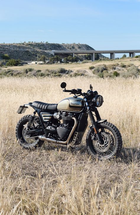 Scrambler Moto, Motos Bobber, Triumph Street Twin, Moto Triumph, Triumph Cafe Racer, Street Scrambler, Moto Scrambler, Triumph Bikes, Scrambler Custom