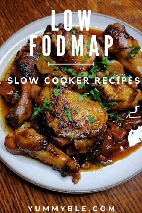 Fodmap Recipes Lunch, Chicken Over Mashed Potatoes, Low Fodmap Chicken Recipes, Fodmap Slow Cooker, Fodmap Chicken Recipes, Pulled Chicken Tacos, Low Fodmap Dinner, Fodmap Chicken, Fodmap Dinner