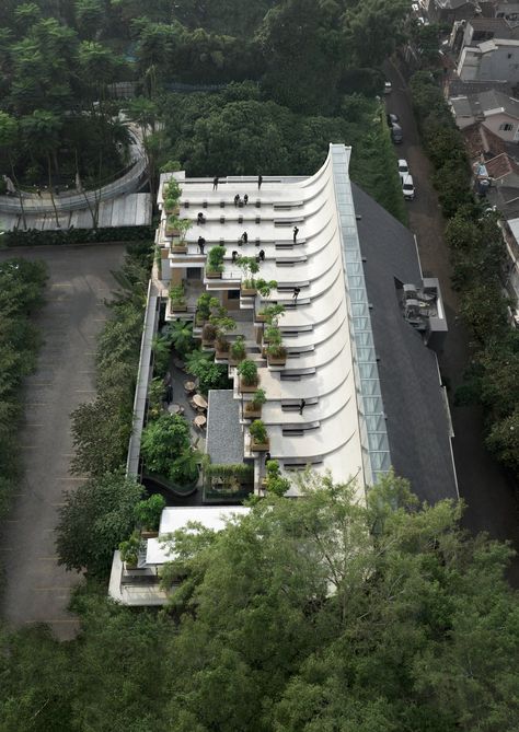 Image 6 of 33 from gallery of Aruma Split Garden / RAD+ar (Research Artistic Design + architecture). Photograph by Mario Wibowo Indonesian Restaurant, Indonesian Architecture, Architect Project, Sloping Roof, George Town, Roof Architecture, Concrete Roof, Architectural Practice, Garden Pictures