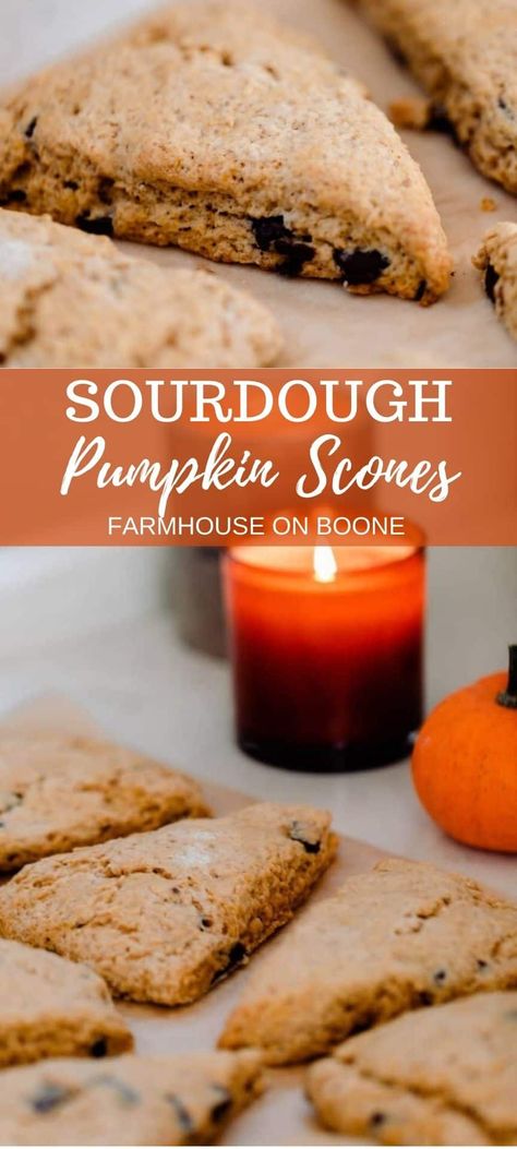 Pumpkin Scones Recipe, Sourdough Pumpkin, Pumpkin Cobbler, Farmhouse On Boone, Recipe Using Sourdough Starter, Sourdough Starter Recipes, Sourdough Starter Discard Recipe, Discard Recipe, Pumpkin Ice Cream