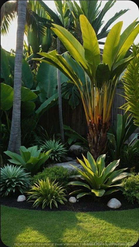 Tropical Landscaping Ideas, Tropical Backyard Landscaping, Tropical Landscape Design, Palm Trees Landscaping, Florida Landscaping, Tropical Garden Design, Tropical Backyard, Cozy Backyard, Backyard Landscaping Ideas