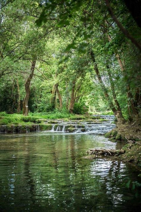 Landscape Edging Stone, 숲 사진, Taman Air, Landscape Photography Tips, Image Nature, Landscape Edging, Landscape Paintings Acrylic, Foto Tips, Landscape Photography Nature