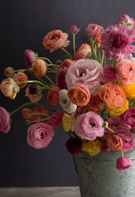 Ranaculus Flowers Wallpaper, Ranunculus Flower Arrangements, Ranunculus Garden, Peony Colors, Flowers In Pots, April Flowers, Beautiful Flower Arrangements, Deco Floral, Floral Inspiration