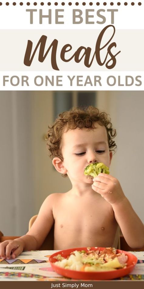 Meals For One Year Old, One Year Old Meals, Meals For Children, Meal Plan For Toddlers, Trying New Foods, Eating Healthy Foods, Best Meals, Terrible Twos, Foods Ideas