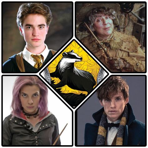 Harry Potter Hufflepuff Characters, Hufflepuff Characters, Horned Serpent, About Harry Potter, Hufflepuff Aesthetic, Hufflepuff Pride, Hufflepuff House, Gellert Grindelwald, Cute Harry Potter