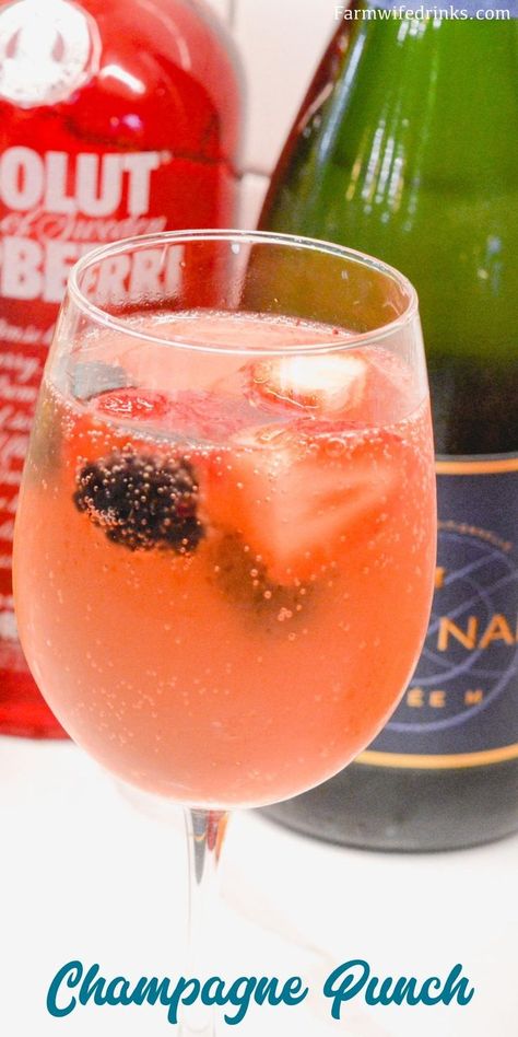 Punch With Vodka, Party Punch Alcohol, Champagne Punch Recipes, Fruity Cocktail Recipes, Fruit Punch Recipe, Grad Party Inspo, Champagne Recipe, Vodka Punch, Pineapple Vodka