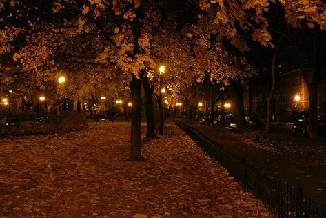 Leaves On The Ground, Dark Autumn, Autumn Lights, Street Lights, Autumn Night, Autumn Scenery, Season Of The Witch, Best Seasons, We Fall In Love