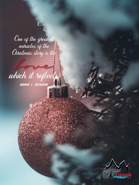 One of the greatest miracles of Christmas Christmassy Quotes, The Love Which, Holiday Season Quotes, Aloha Christmas, Christmas Reflections, Life Perspective, Strength Bible, Matthew 2, Christmas Thoughts