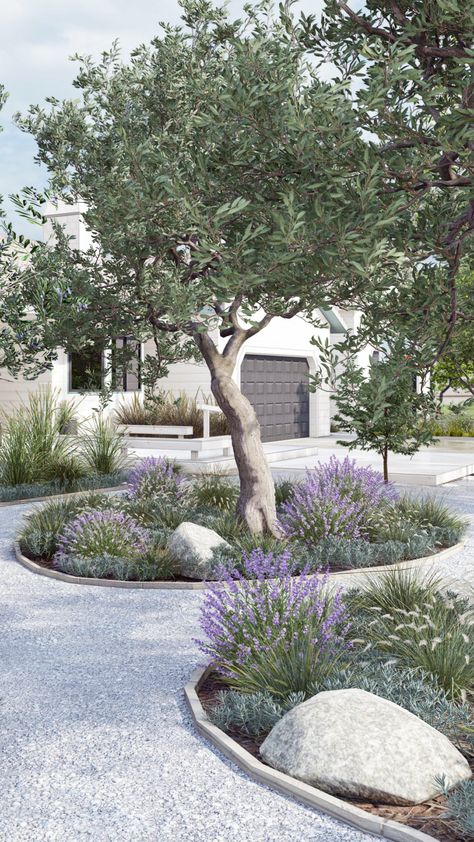 Moderne Have, Mediterranean Garden Design, Online Landscape Design, Front Yard Design, Mediterranean Landscaping, Gravel Garden, Front Landscaping, Have Inspiration, Mediterranean Garden