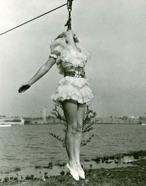 22 Insanely Creepy Vintage Circus Photos of Clowns, Freaks, and more Vintage Circus Photos, Scary Circus, Creepy Old Photos, Aerial Circus, Circus Pictures, Creepy Circus, Old Circus, Circus Aesthetic, Scary Images