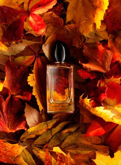 "Autumn" by Nazar Andriychuk #fstoppers #Product #stilllife #autumn #leaves #Commercial #armani #Si #perfume #nazarandriychuk Halloween Candle Photography, Autumn Perfume Photography, Autumn Cosmetics Photography, Halloween Product Photoshoot, Autumn Advertising, Candle Photoshoot, Halloween Shoot, Fall Shoot, Pumpkin Display