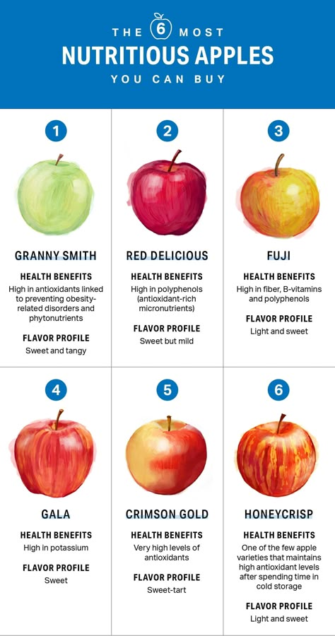 The 6 Most Nutritious Apples You Can Buy | Nutrition | MyFitnessPal Health Benefits Of Fruits, Benefits Of Fruits, Apple Benefits, Baking Soda Beauty Uses, Food Health Benefits, Fruit Benefits, Apple Health, Brown Spots Removal, Healthy Apple