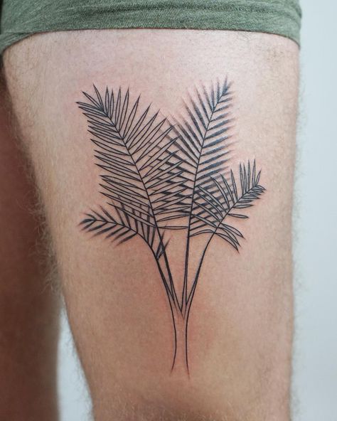 @scotti.boi sent me a few shots of his indoor palm tree, this is what we came up with 🌴💕 Palm Branch Tattoo, Palm Leaf Tattoo, Indoor Palm, Spruce Branch, Indoor Palm Trees, Watercolour Tattoos, Fountain Pen Drawing, Indoor Palms, Leaf Tattoo