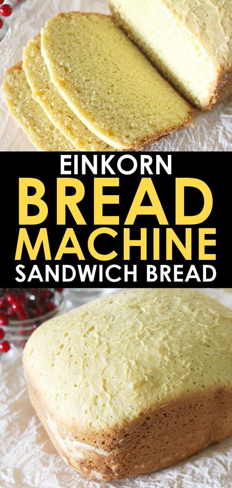 Fresh einkorn sandwich bread in 2 hours with a bread maker is possible! This einkorn flour bread machine recipe is perfect for a set it and forget it sandwich bread loaf! #Einkorn #Bread #BreadMachine Einkorn Bread Machine Recipe, Bread Machine Sandwich Bread, Einkorn Sandwich Bread, Einkorn Bread, Recipe Sandwich, Best Bread Machine, Einkorn Recipes, Fresh Milled Flour, Bread Machine Recipe