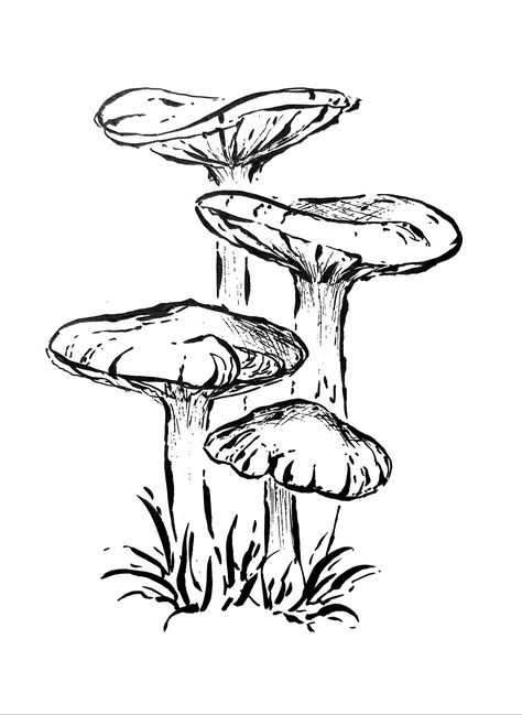 Art drawing ink sketch mushroom nature Sketchbook Art Inspiration Mushroom, Mushroom Art Reference, Art Sketches Mushrooms, Flat Mushroom Drawing, Sketch Of Mushroom, Mushroom Nature Drawing, Cluster Of Mushrooms Drawing, Ink Drawing Mushroom, Pencil Art Drawings Mushroom