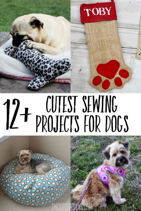 Sew for your canine companion with these creative sewing projects for dogs! Dog sewing projects are good for beginners and fun to make. #sewing #dog Sewing Projects For Dogs, Creative Sewing Projects, Cute Sewing Projects, Creative Sewing, Beginner Sewing Projects Easy, Leftover Fabric, Fabric Baskets, Dog Beds, Sewing Projects For Beginners