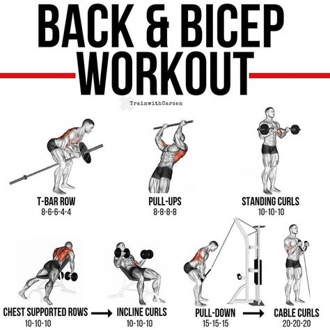 Cable Curls, Strength Mobility, Small Muscles, Back And Bicep Workout, T Bar Row, Bicep Workout, Dumbbell Curls, Back Workouts, Muscle Building Workouts