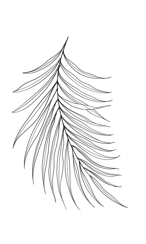 Palm Leaf Tattoo Arm, Palm Leaf Back Tattoo, Palm Leaf Tattoo Design, Palm Frond Tattoos, Palm Leaf Tattoo, Indian Feather Tattoos, Fern Tattoo, Fan Tattoo, Branch Tattoo