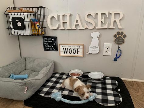 Dog Set Up Ideas In Bedroom, Dog Area In Bedroom Ideas, Dog Areas In House Small Living Room, Dog Bedroom Decor Ideas, Dog Set Up In Bedroom, Dogs Corner Ideas, Doggie Corner Ideas In Living Room, Puppy Corner Ideas In Bedroom, Puppy Area Indoor Apartment