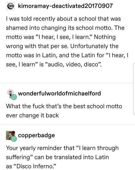 Tumblr Text Posts, Learn New Things, Funny Tumblr Posts, Funny Tumblr, The More You Know, School Fun, Text Posts, Tumblr Funny, To Study