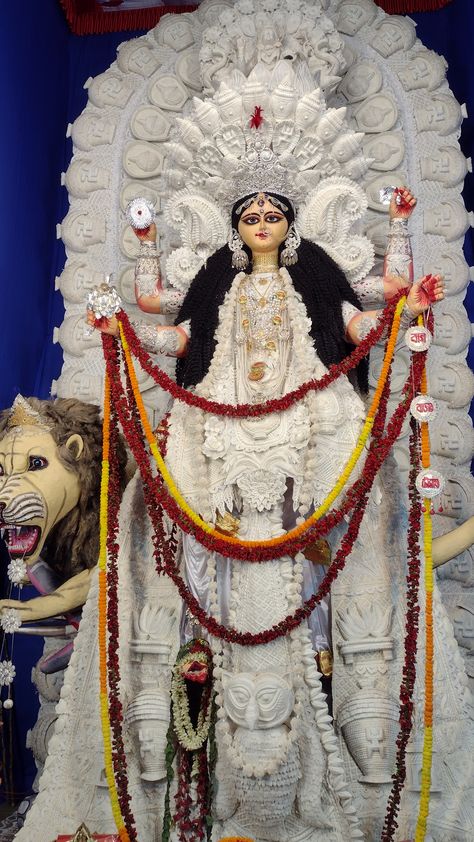 Chandannagar Jagaddhati Puja 2022 Chandannagar Jagadhatri Puja, Jagadhatri Puja, Terracotta Art, Plumeria Flowers, Ganesh Ji, Good Morning Image Quotes, Good Morning Image, Good Morning Images, Morning Images