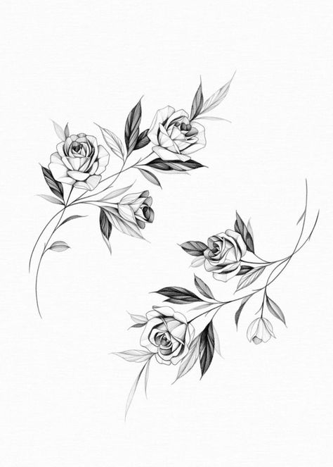 Rose Black And White Tattoo, Rose Tattoo Women, Rose Tattoo Design For Women, Tattoo Flower Rose, Rose Sleeve Tattoo, Tattoo Belly, Flowers Outline, Wild Rose Tattoo, Butterfly Tattoo Design