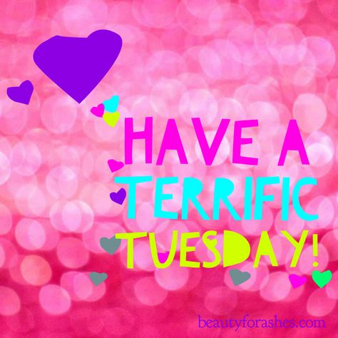 Have A Terrific Tuesday Colorful Quote Pictures, Photos, and Images for Facebook, Tumblr, Pinterest, and Twitter Terrific Tuesday Quotes, Happy Tuesday Morning, Tuesday Pictures, Tuesday Greetings, Tuesday Quotes Good Morning, Tuesday Images, Terrific Tuesday, Bon Mardi, Days Of The Week Quotes