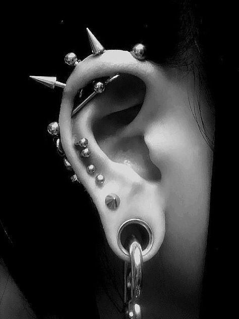 Love this too cool I kinda want it Piercings Black, Lip Earrings, Piercing Bouche, Earrings Piercings, Piercing Lip, Lip Jewelry, Cool Ear Piercings, Face Piercings, Cool Piercings