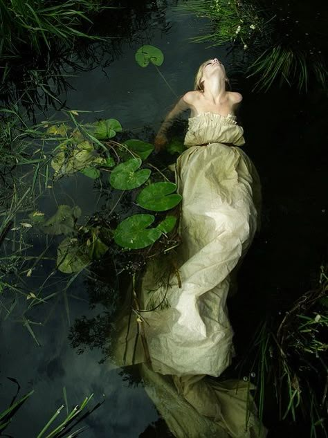 to get over my fear of swimming with lily pads  Ophelia Glazastik Finch Water Shoot, John Everett Millais, Lady Of The Lake, Water Nymphs, Water Photography, Pre Raphaelite, Foto Poses, Underwater Photography, Dragon Age