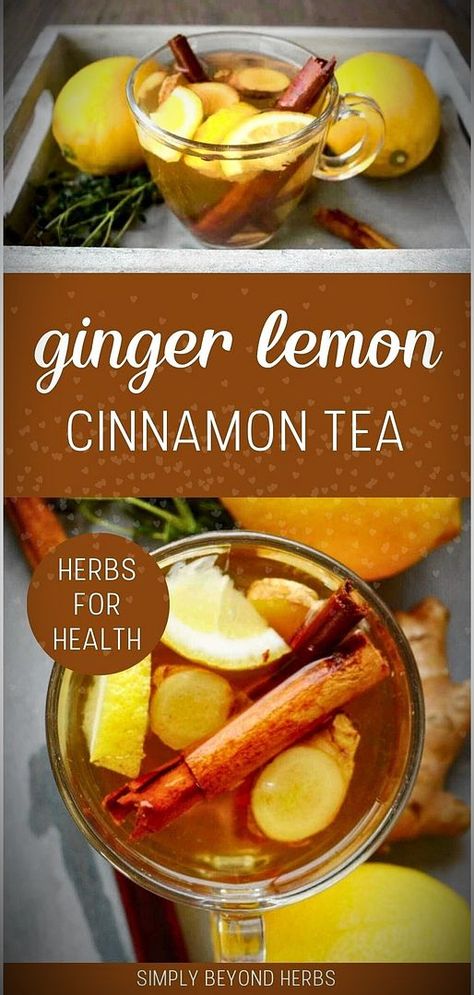 Discover our Ginger Lemon Cinnamon Tea Recipe in the Herbs for Health & Healthy Herbs category. This warming tea is perfect for those seeking natural remedies to improve health and immunity. Each ingredient is chosen for its long-standing medicinal properties. Ideal for enthusiasts of natural health and herbal tea remedies. Visit simplybeyondherbs.com for more herbalism recipes. Ginger Tea From Powdered Ginger, Lemon Ginger Tea Aesthetic, Cinnamon Lemon Peel Ginger Tea, Ginger Tea With Ground Ginger, Cinnamon Orange Tea, Turmeric Ginger Cinnamon Tea, Diy Ginger Tea, Fresh Tea Recipes, Herb Tea Recipes