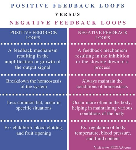 Difference Between Positive and Negative Feedback Loops in Biology - Pediaa.Com Negative Feedback Loop, Biology Cheat Sheet, Ap Biology Notes, Biology Tips, Biology Notebook, Positive Vs Negative, Biology Interactive Notebook, Memes Nursing, Biology Lesson Plans