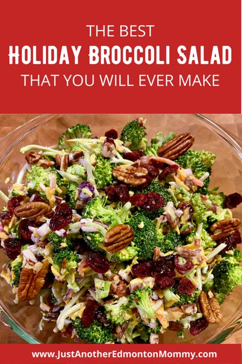 The Best Holiday Broccoli Salad That You Will Ever Make Green Salad For Thanksgiving, Vegetarian Broccoli Salad, Salad Recipes Holidays, Cranberry Walnut Salad, Holiday Menu Ideas, Broccoli Salad With Cranberries, Best Broccoli Salad Recipe, Broccoli Pasta Salads, Company Recipes